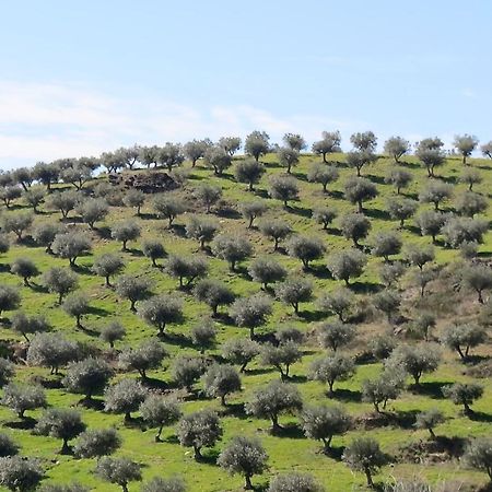 Agroturismo Casal De Castro Avantos Buitenkant foto