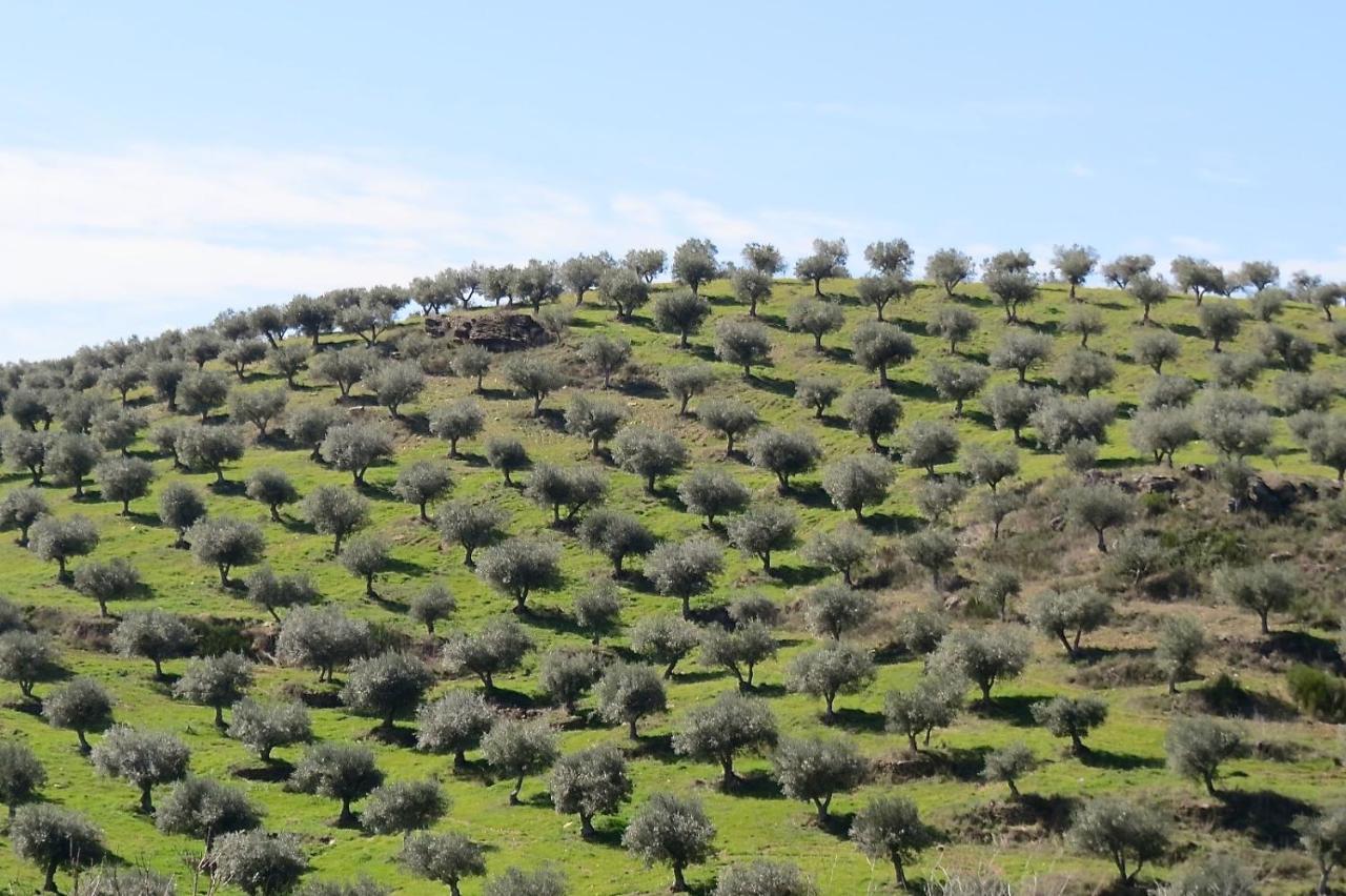Agroturismo Casal De Castro Avantos Buitenkant foto